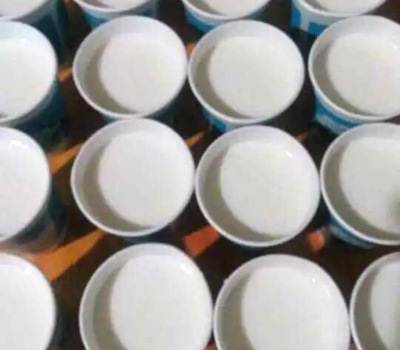 批发丹尼斯克酸奶发酵菌种 进口酸奶发酵剂 自制酸奶菌粉496型-西安食品添加剂